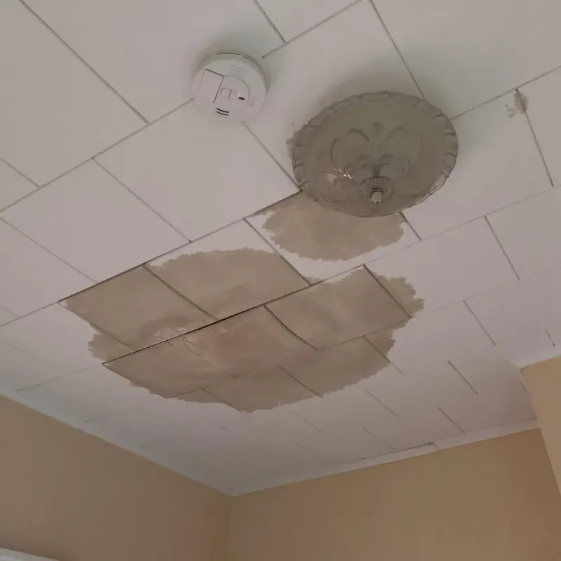Ceiling Water Damage Repair in Spring Grove, IL