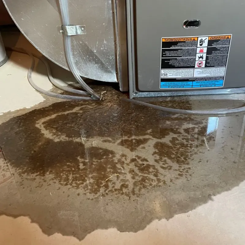 Pipe Burst and Leak Restoration in Spring Grove, IL
